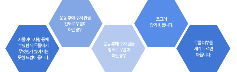 사물이나 사람 등에 부딪친 뒤 무릎에서 무엇인가 찢어지는 듯한 느낌이 듭니다. , 운동 후에 주저 앉을 전도로 무릎이 아픈경우, 운동 후에 주저 앉을 정도로 무릎이 아픈경우, 쪼그려 앉기 힘듭니다., 무릎 피부를 세게 누르면 아픕니다.